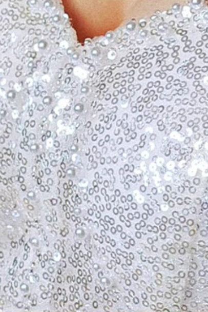 Silver Sequined Tulle Overlay A-Line Evening Gown