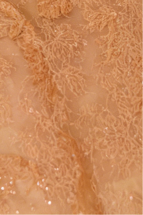 HONEY BEADED LACE DRESS