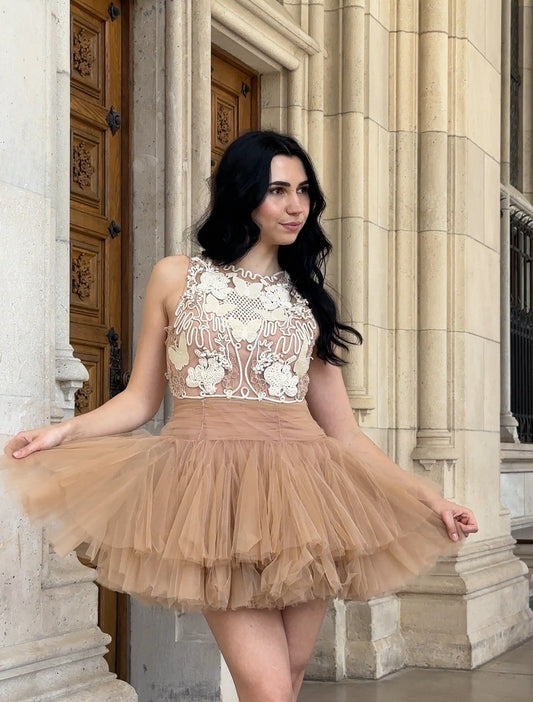Ballerina |  Beige Tulle Mini Dress with 3D Applique