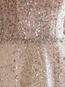 champagne gold glitter tulle a-line evening gown