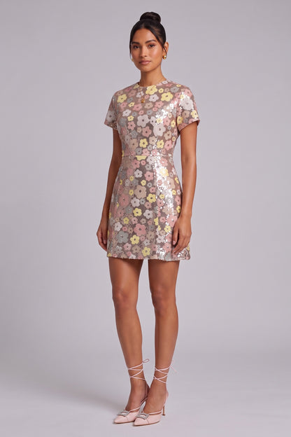 Silver Sequined Mesh A-Line Shift Dress