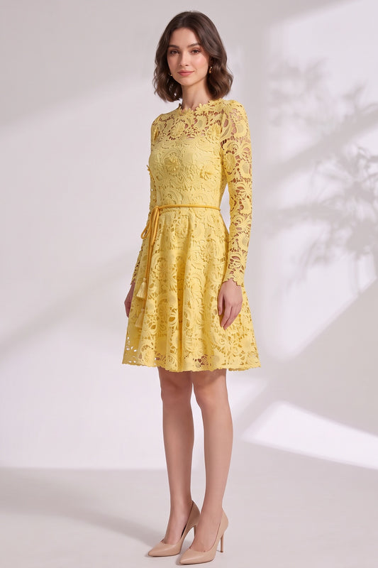 yellow guipure lace fit-and-flare dress yellow guipure lace dress - product view 3