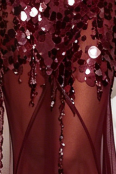 Burgundy Sequined Mesh Sheath with Flared Sheer Lower Skirt Evening Dress