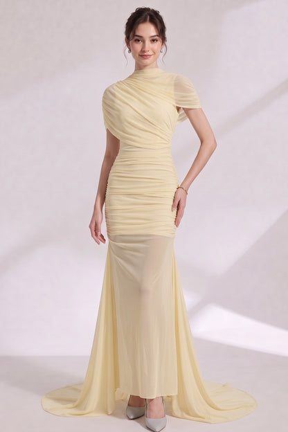 pale yellow sheer mesh fitted mermaid evening gown with sheer train pale yellow sheer mesh evening gown - product view 4