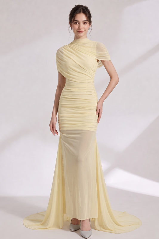 pale yellow sheer mesh fitted mermaid evening gown with sheer train pale yellow sheer mesh evening gown - product view 1