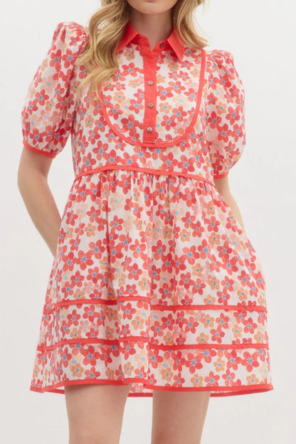 Floral Print Collared Mini Dress