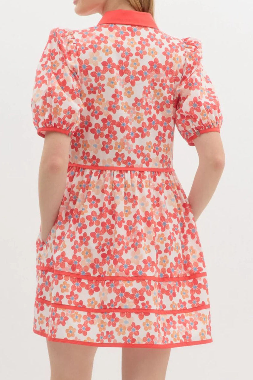 Floral Print Collared Mini Dress