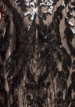 Black Mesh A-Line Mini Dress with Sequin Embroidery