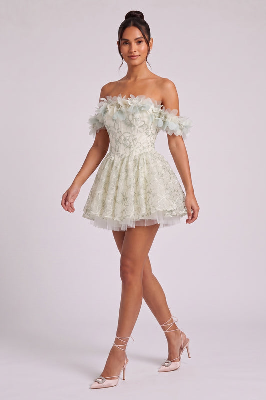 Pale Sage Green Organza Fit-and-Flare Mini Dress with Floral Embroidery pale sage green, cream organza dress - product view 2