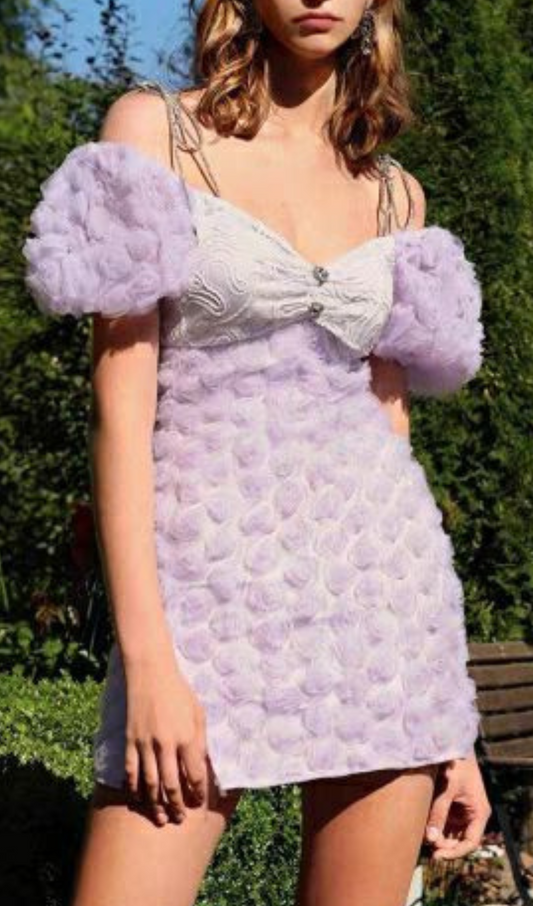 ROSE EMBELLISHED MINI DRESS IN LILAC